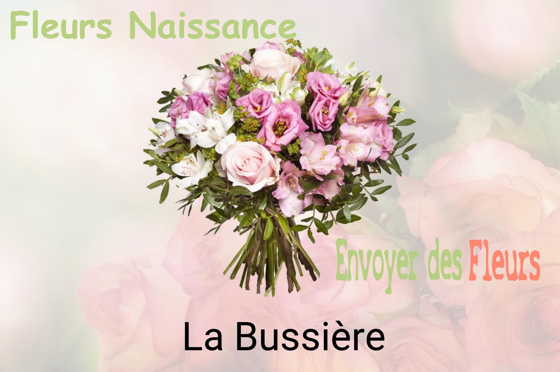 Bouquet de fleurs de naissance livré à La Bussière