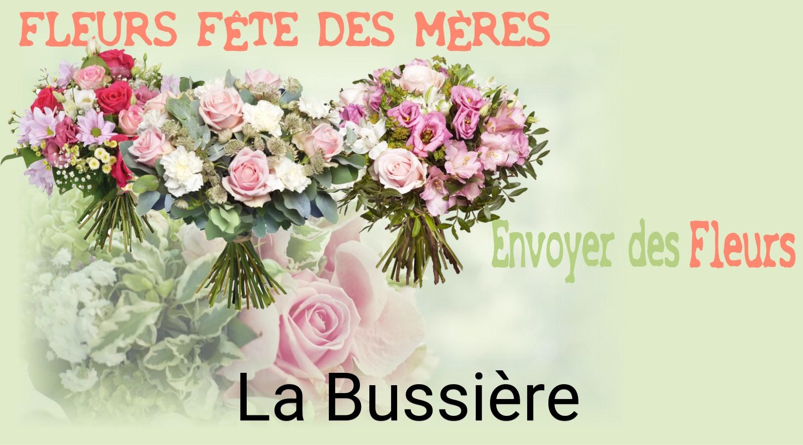 Bouquet de Fête des Mères livré à La Bussière